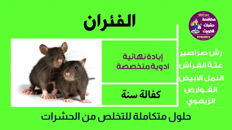 شركة مكافحة الفئران