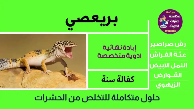 بريعصي