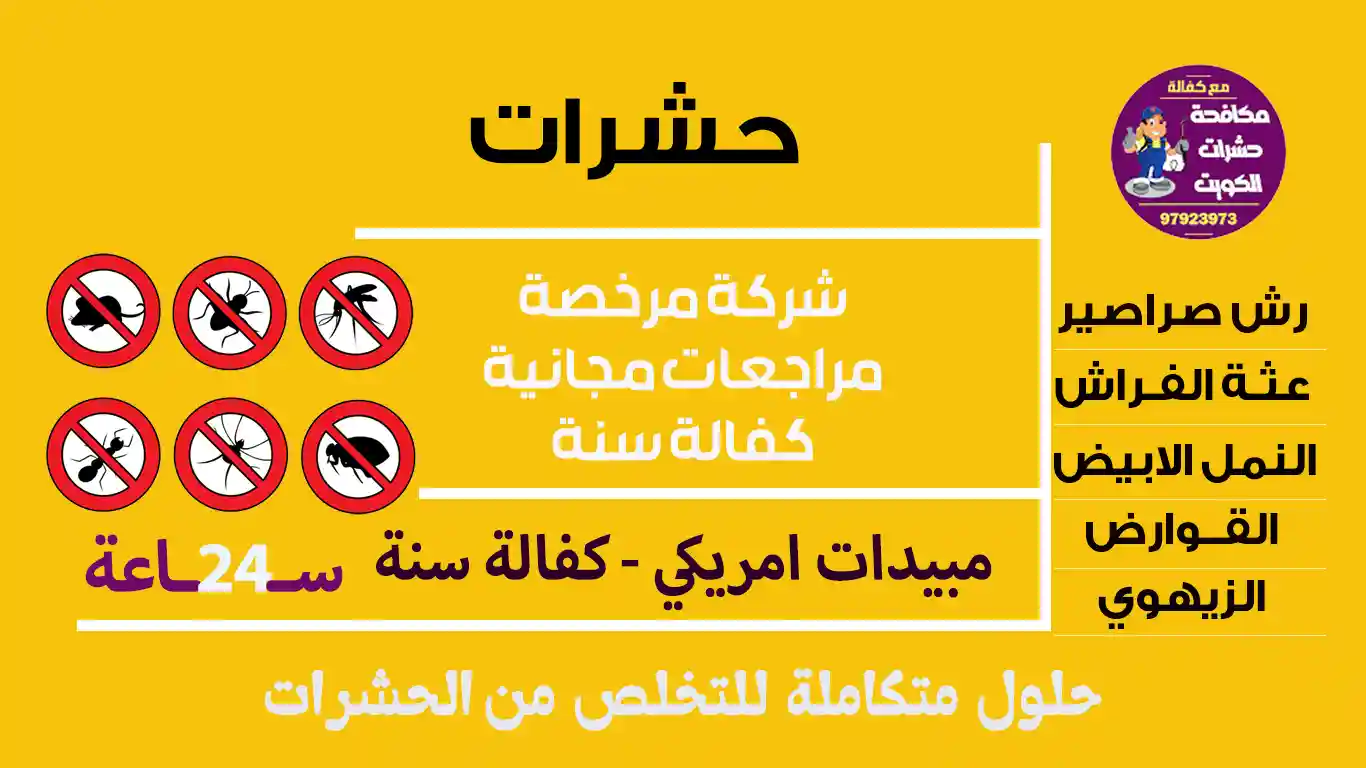 حشرات