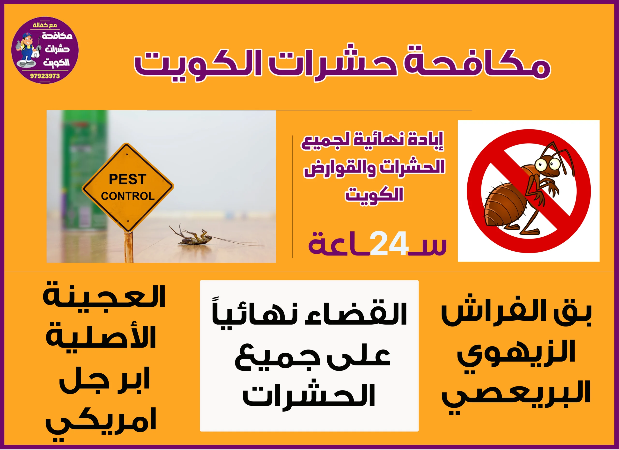 مكافحة حشرات حولي