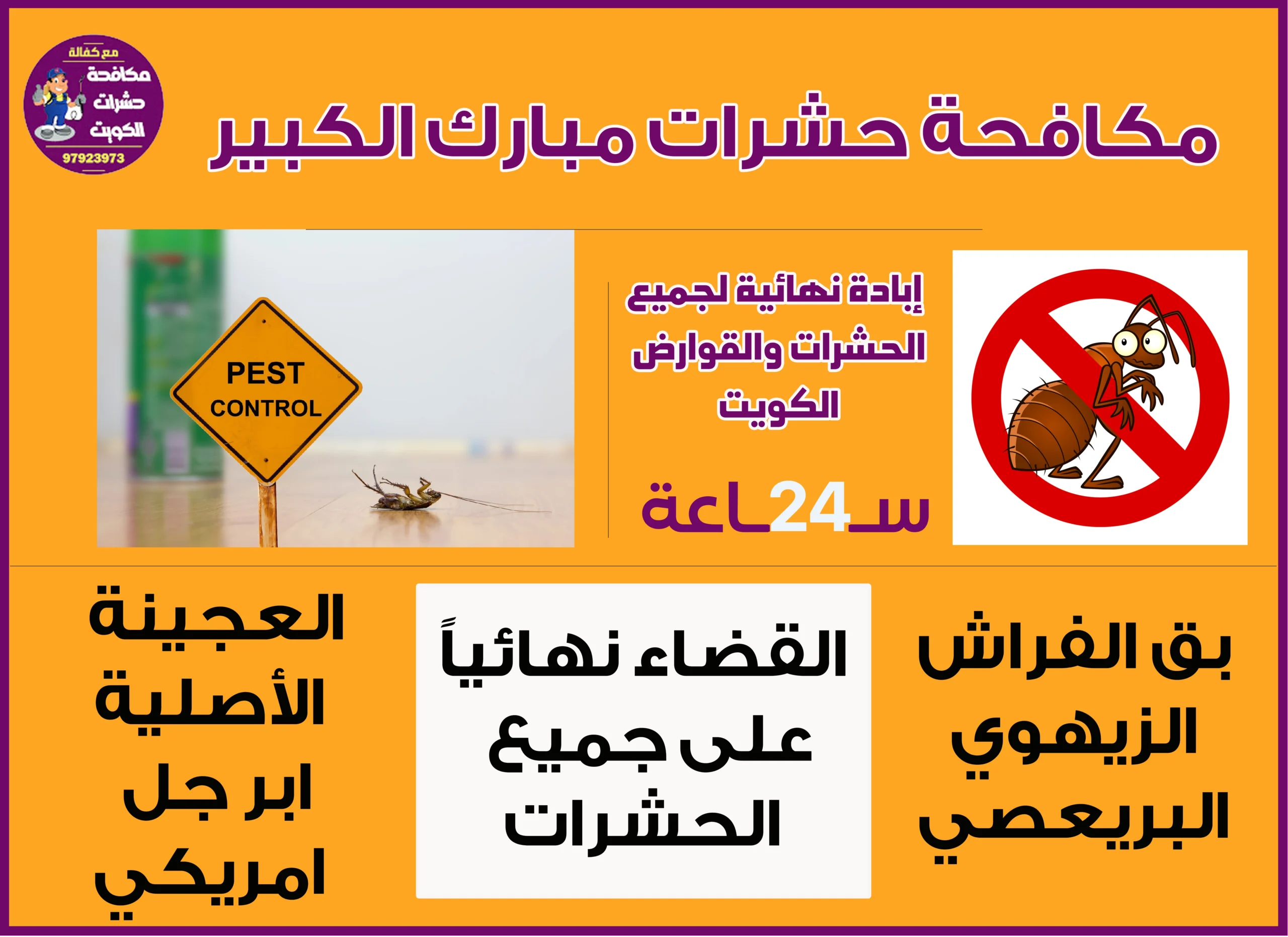 مكافحة حشرات مبارك الكبير